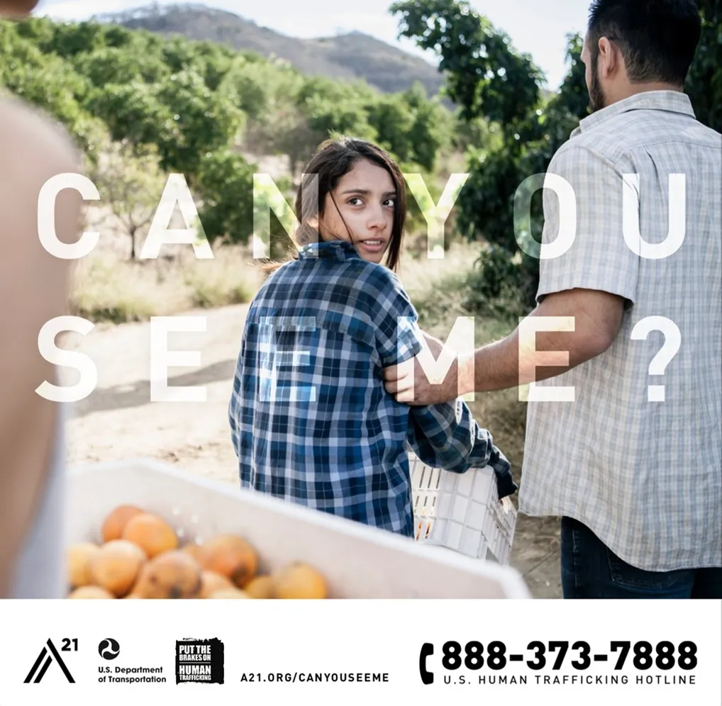 https://a21.org/canyouseeme
